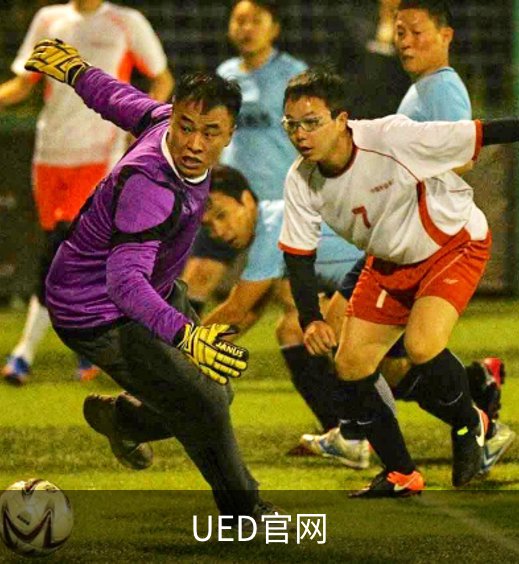 关于UED官网